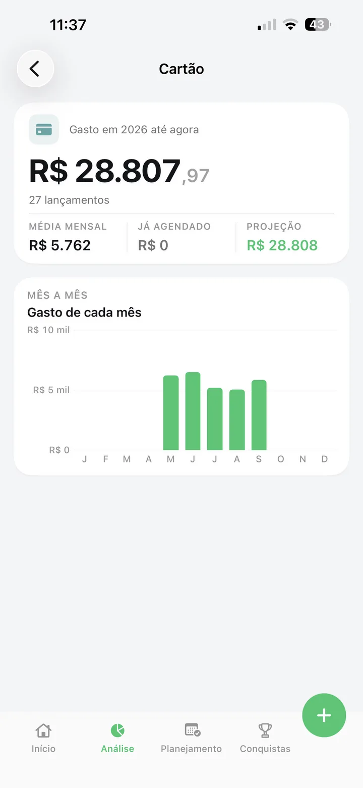Detalhe da categoria Cartão no Paguei!: gasto acumulado no ano, número de lançamentos, média mensal e projeção